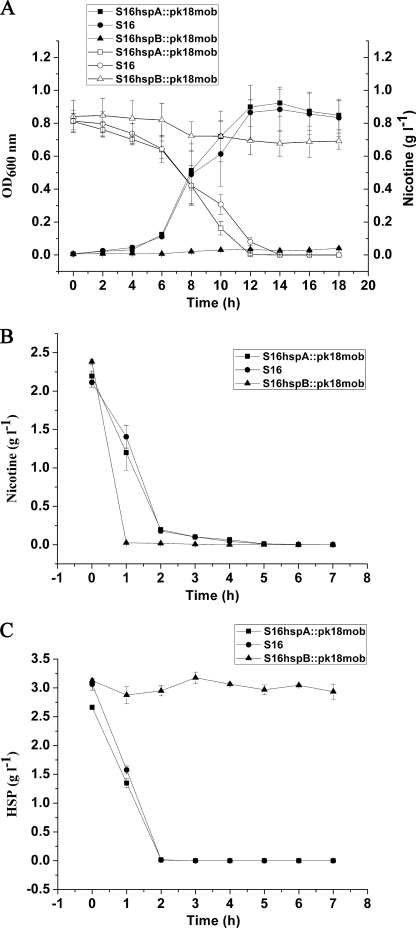 FIGURE 7.