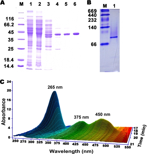 FIGURE 2.