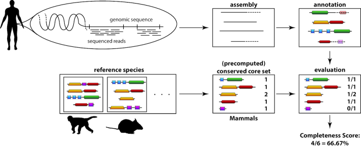 Figure 1.