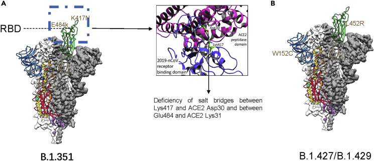 Figure 1