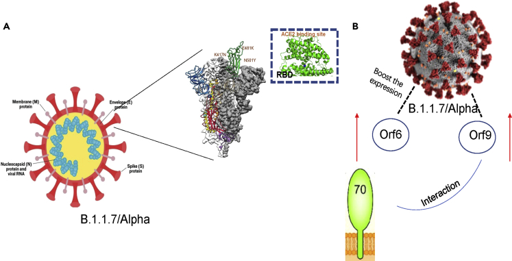 Figure 2