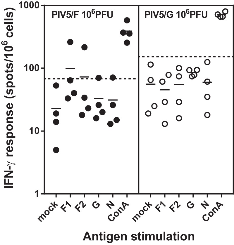 FIG 7