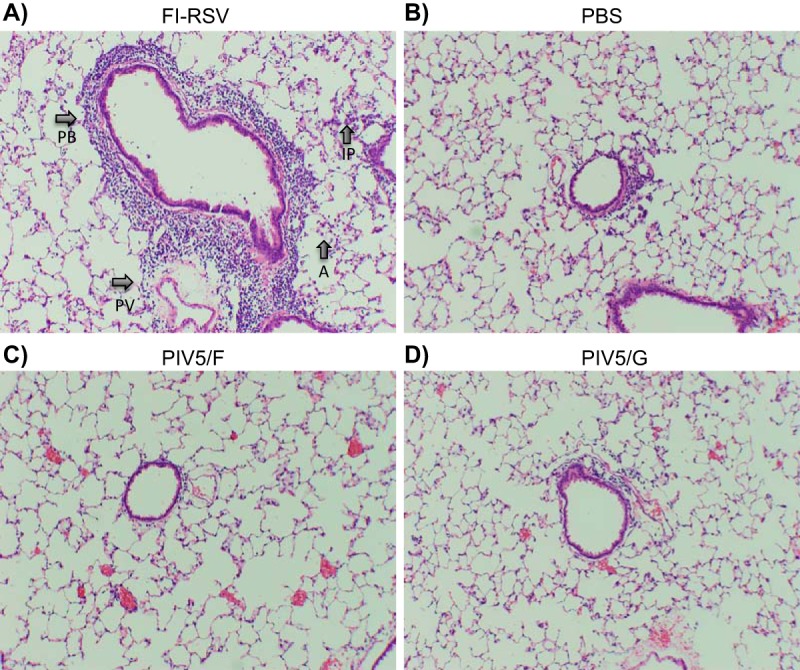 FIG 10