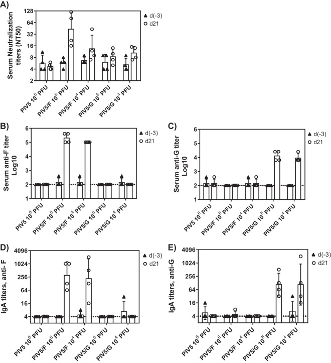 FIG 6