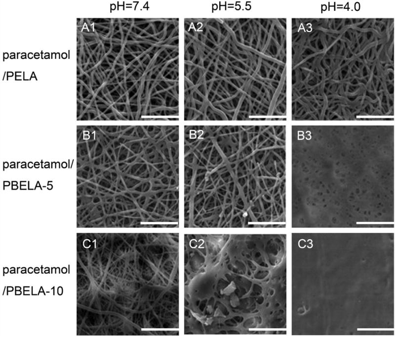 Fig. (4)