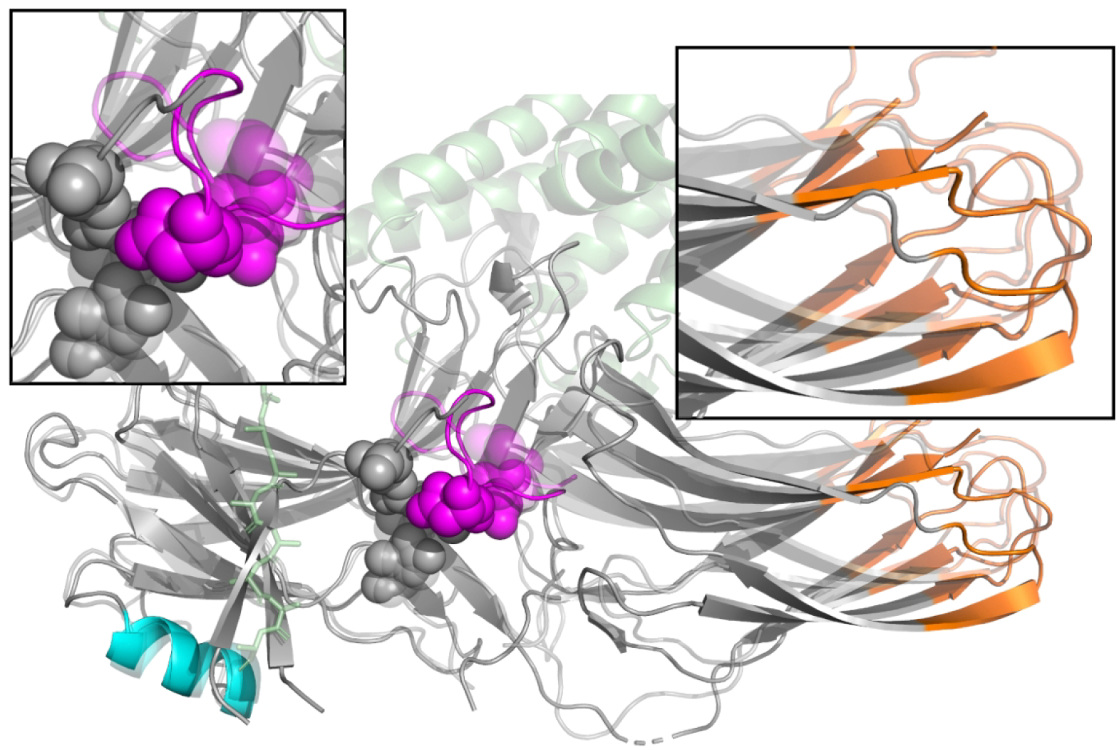 Figure 2: