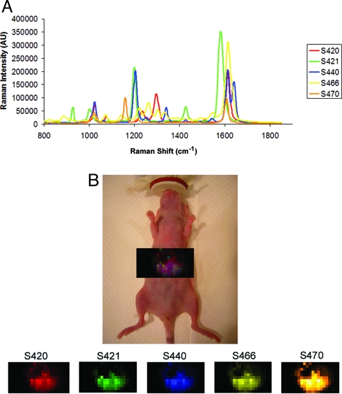 Fig. 3.