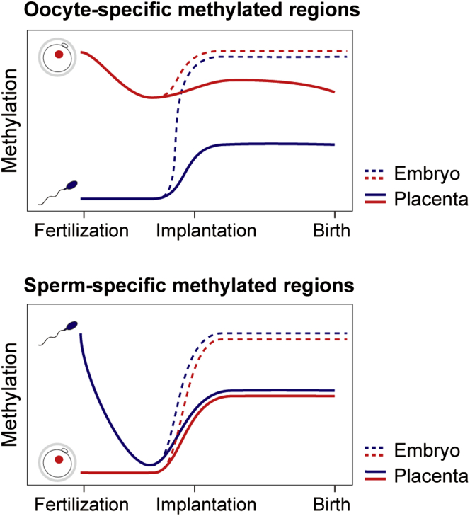 Figure 5