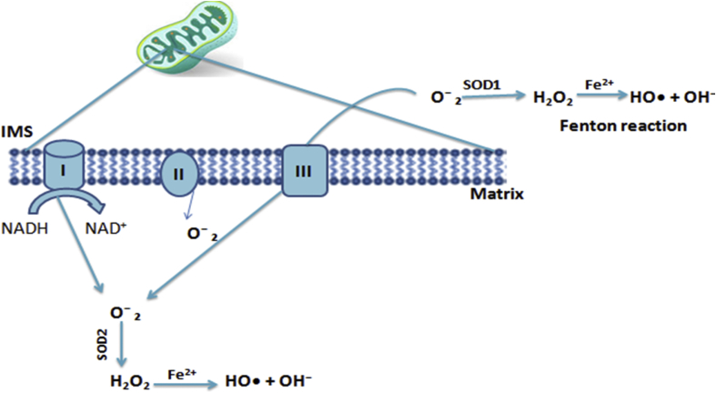 Figure 2