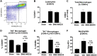 Figure 6