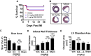 Figure 7