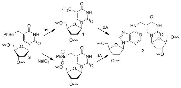 Scheme 2