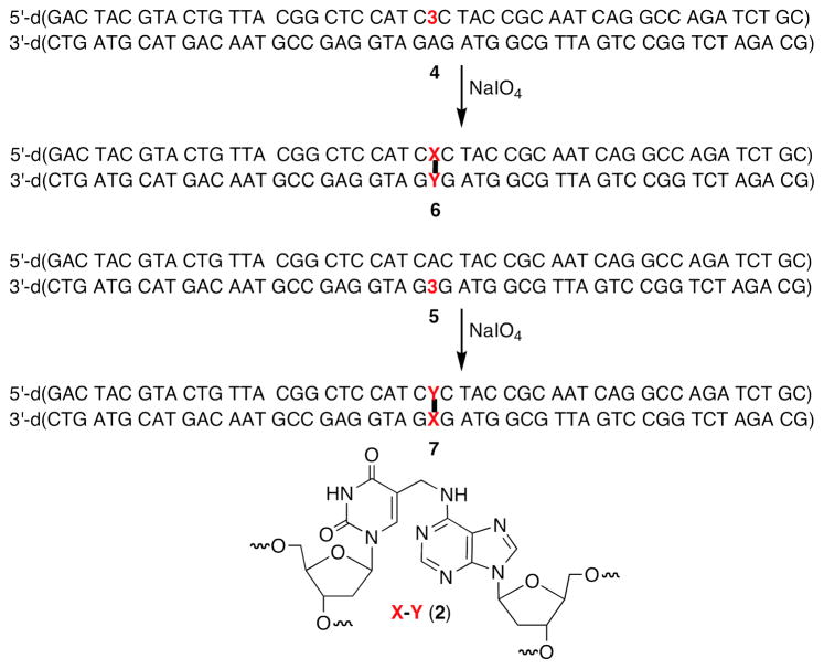 Scheme 3