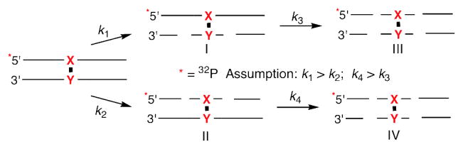 Scheme 4