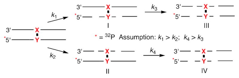 Scheme 5