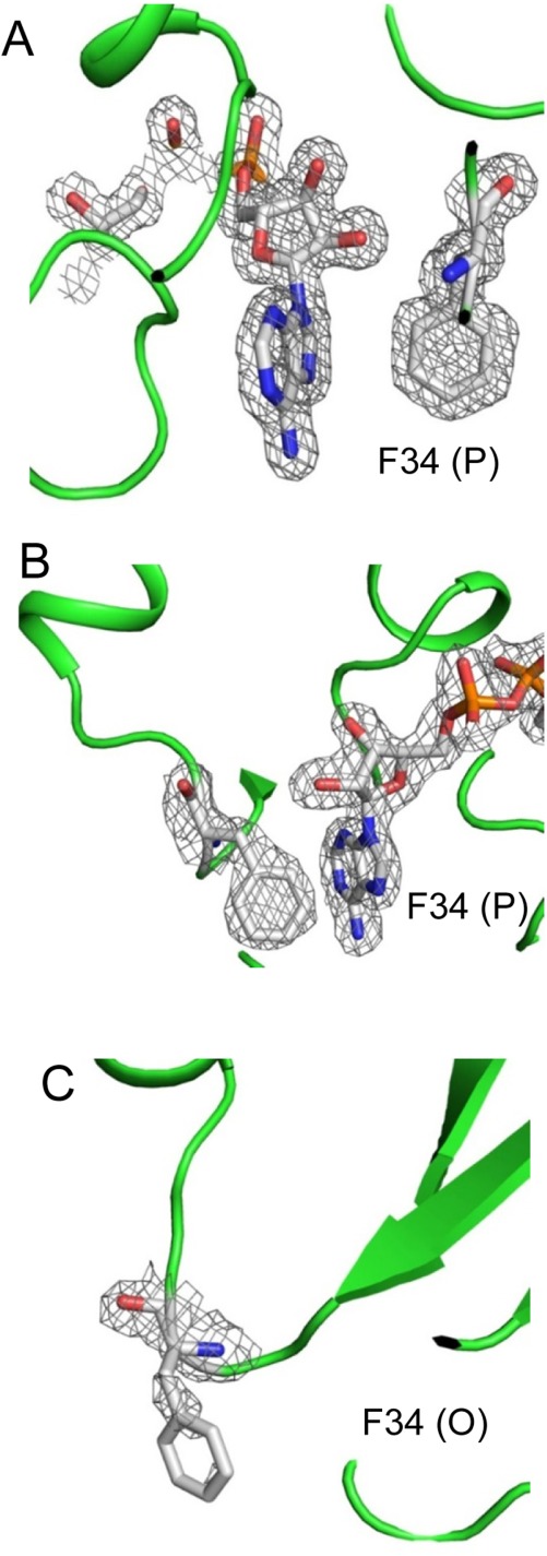 Figure 5