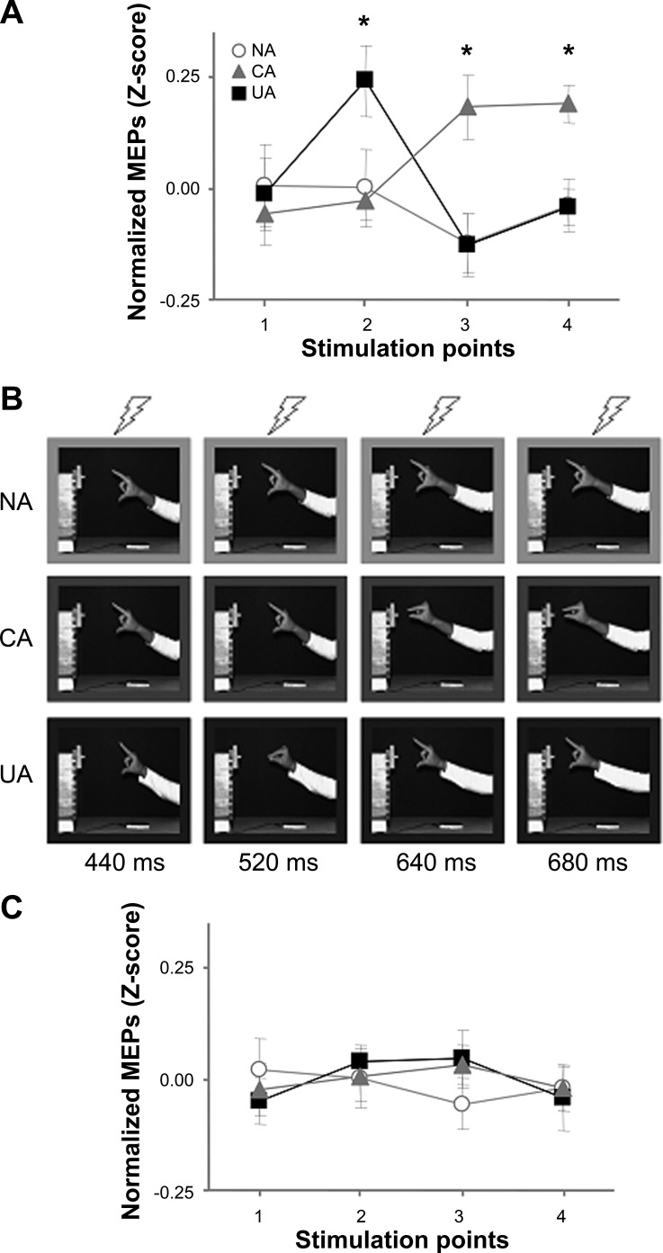 Fig. 3.