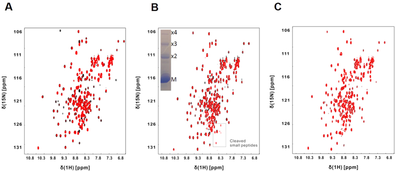 Figure 10