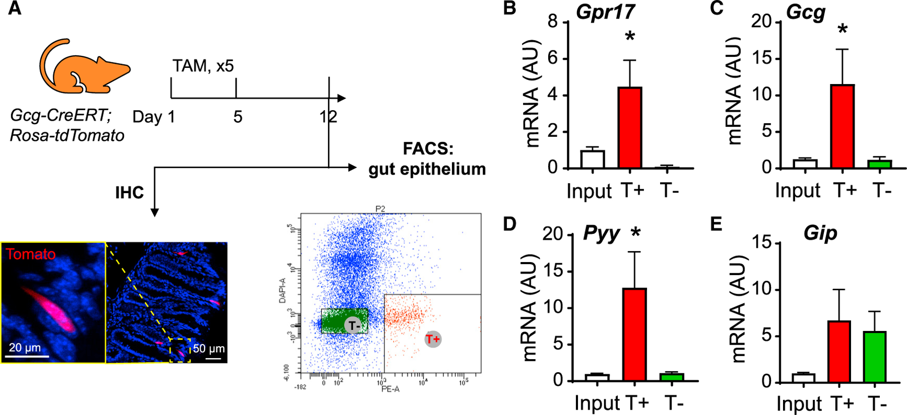 Figure 2.