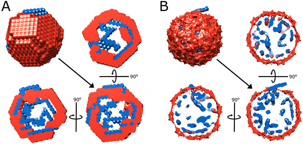 Figure 9.