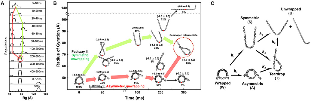 Figure 7.