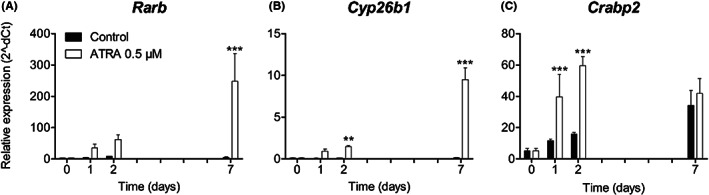 FIGURE 3