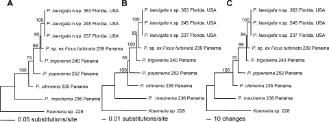 Fig. 14