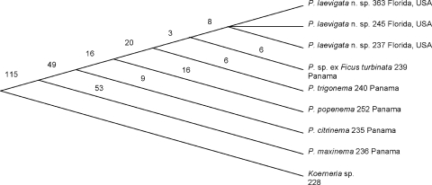 Fig. 15