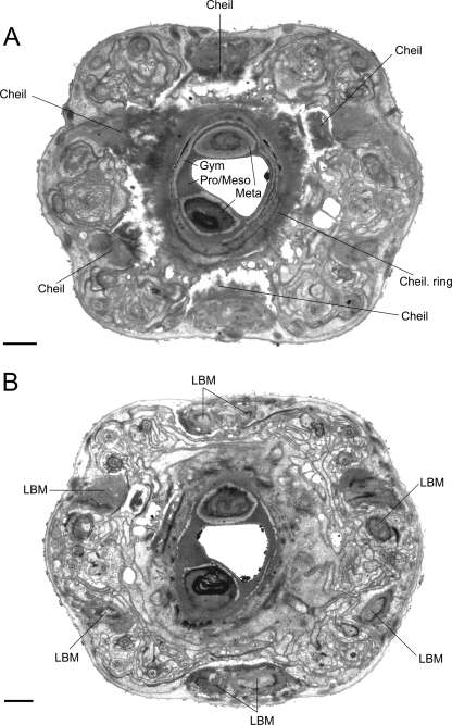 Fig. 9