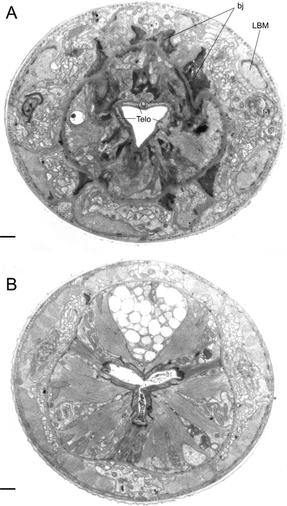 Fig. 11