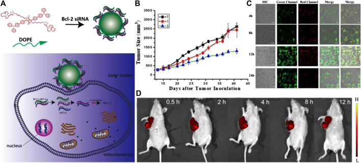 FIGURE 4