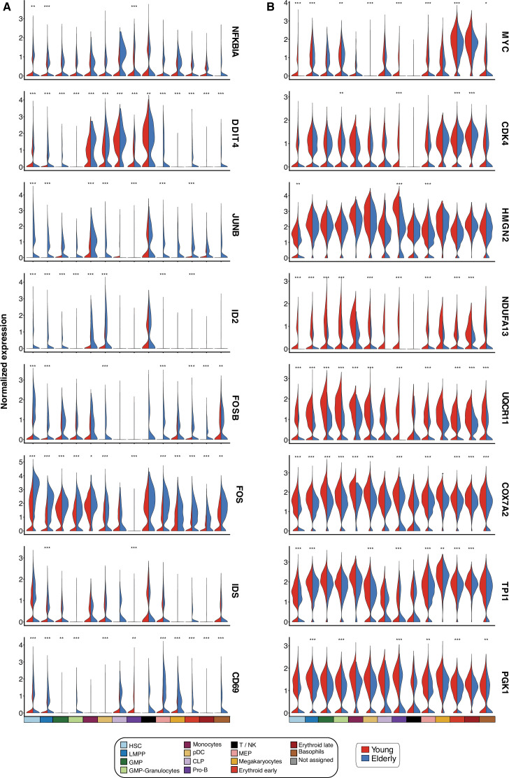 Figure 1—figure supplement 4.