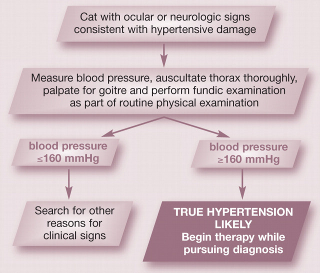 graphic file with name 10.1016_j.jfms.2010.11.008-fig8.jpg