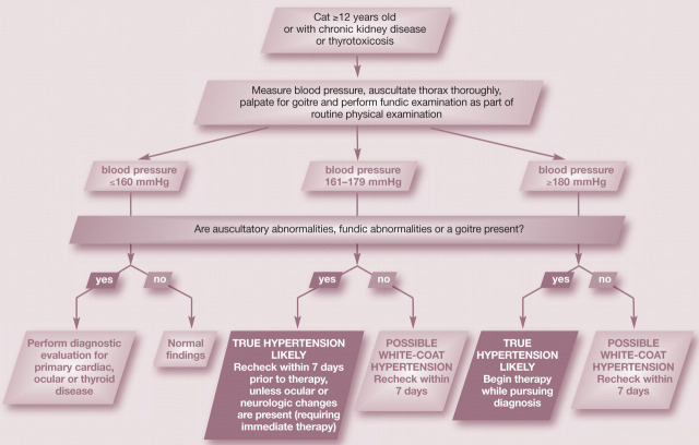 graphic file with name 10.1016_j.jfms.2010.11.008-fig6.jpg