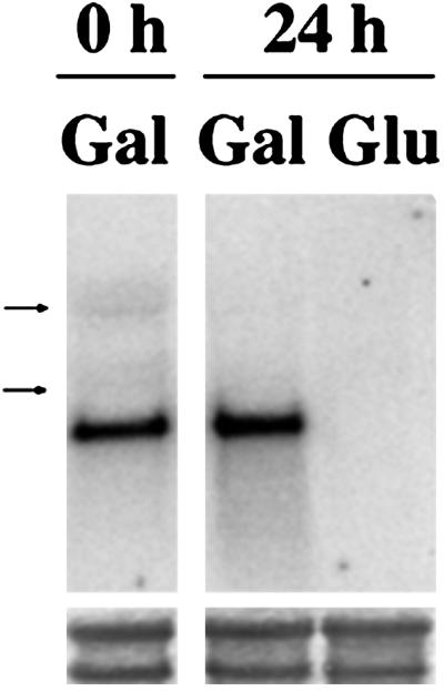 Fig 2.