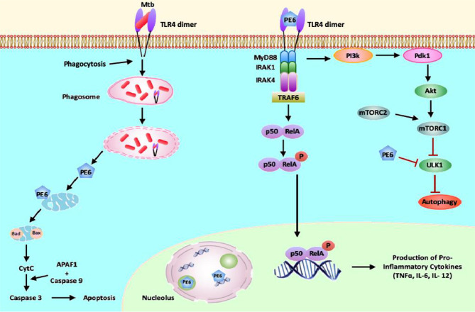 Figure 10