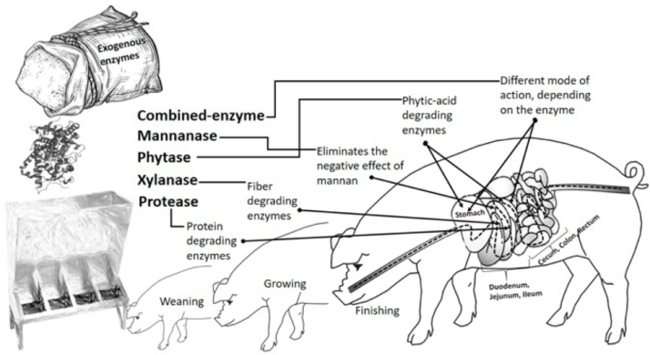 Fig 2