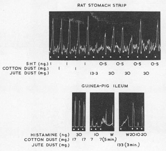 graphic file with name brjindmed00197-0027-b.jpg