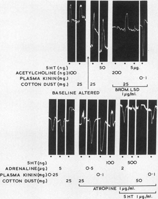 graphic file with name brjindmed00197-0032-a.jpg