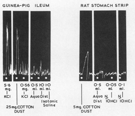 graphic file with name brjindmed00197-0028-a.jpg