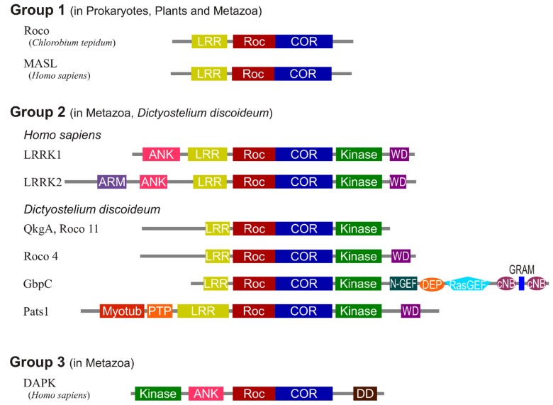 FIGURE 1