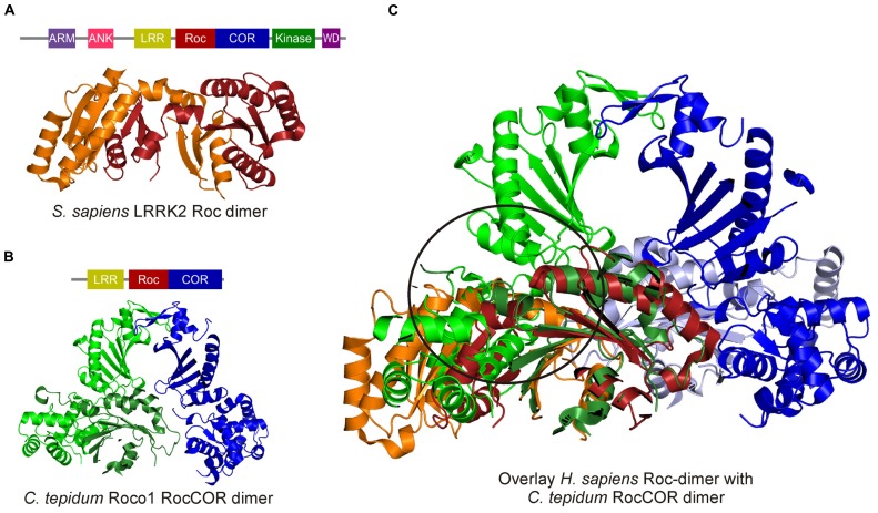 FIGURE 3