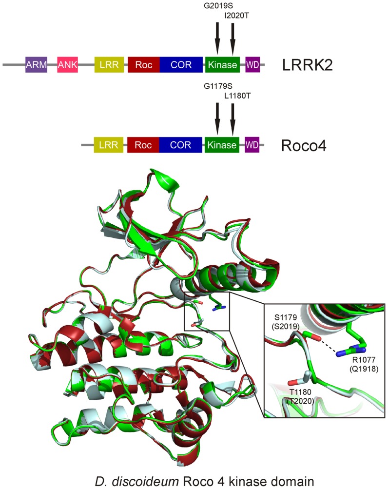 FIGURE 2