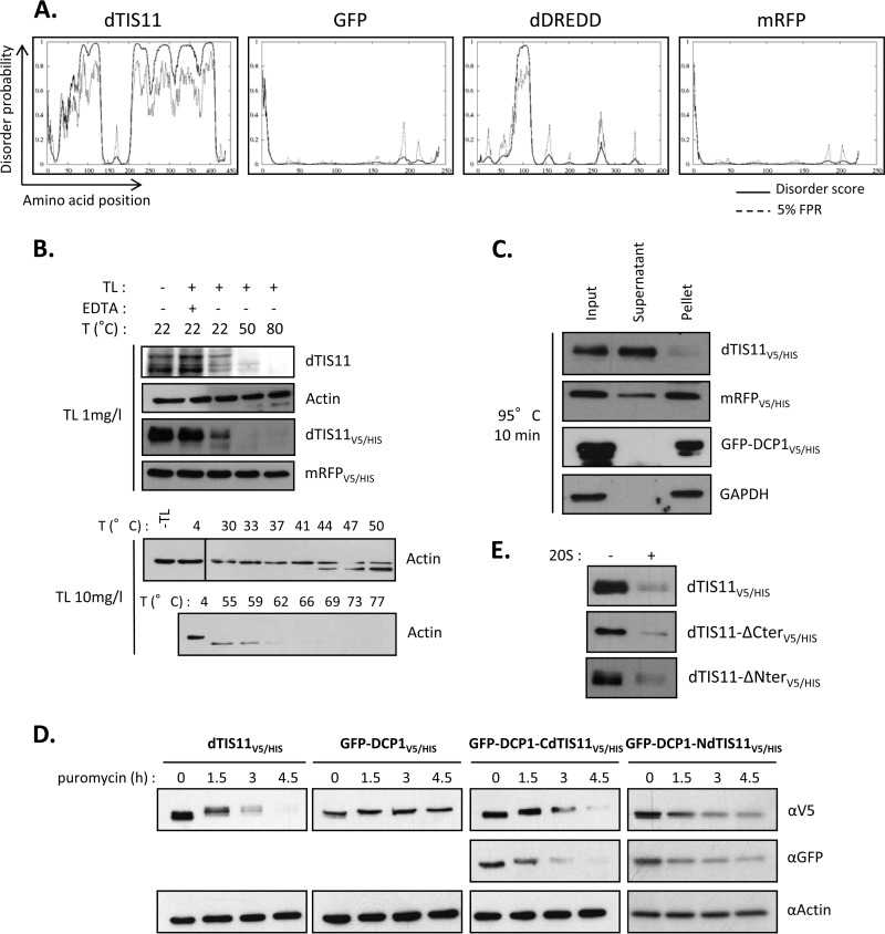 FIG 5