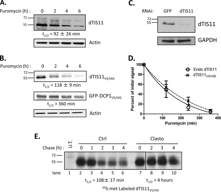 FIG 1