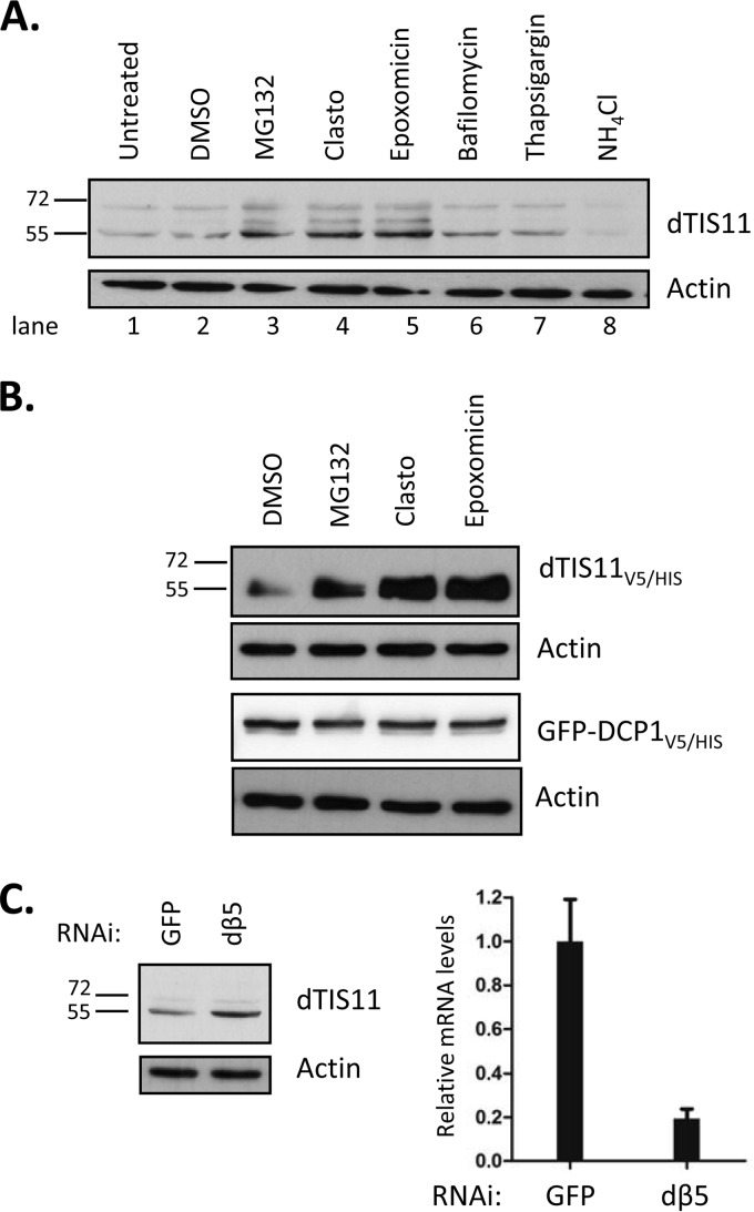 FIG 2