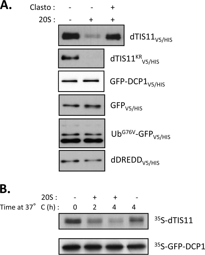 FIG 4