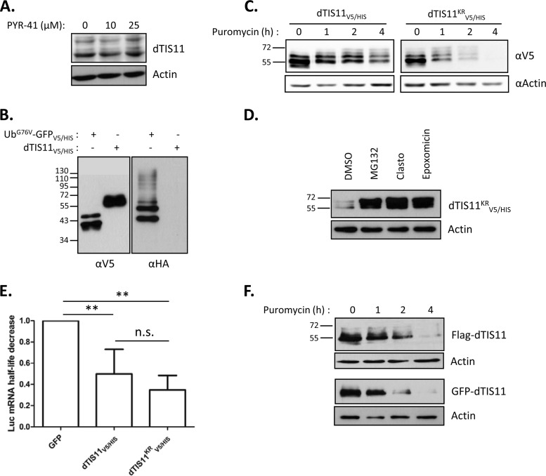 FIG 3