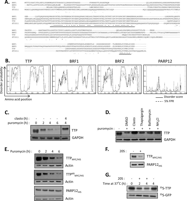 FIG 6