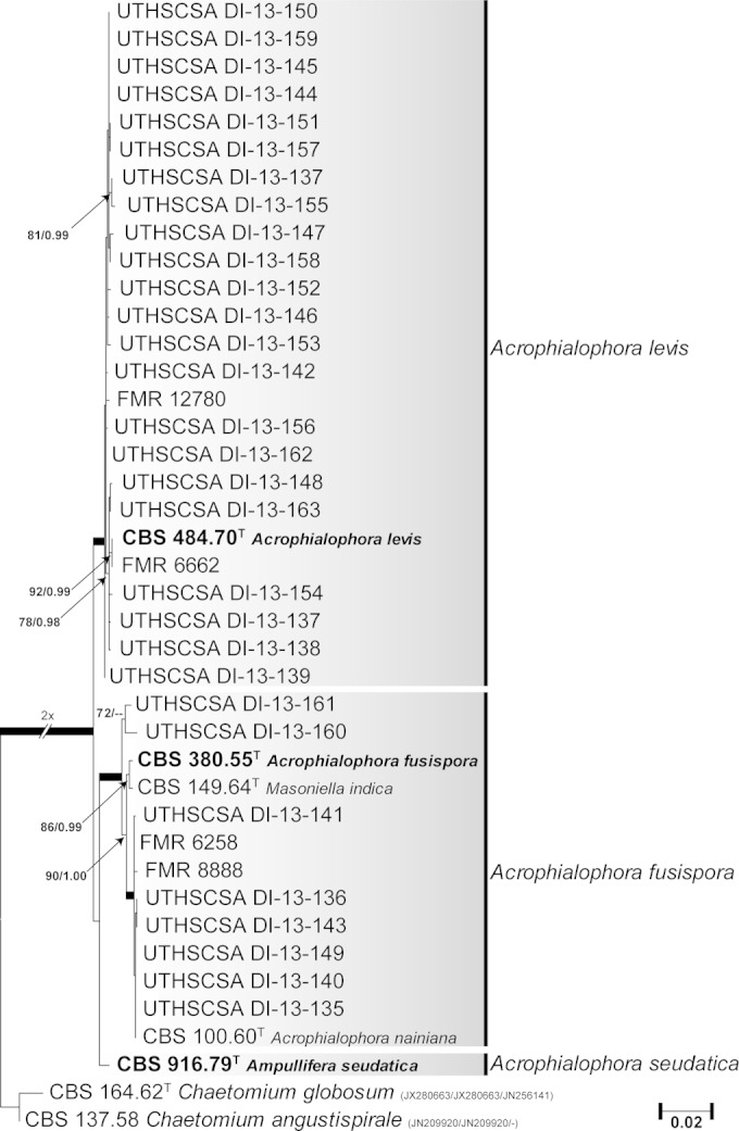 FIG 2